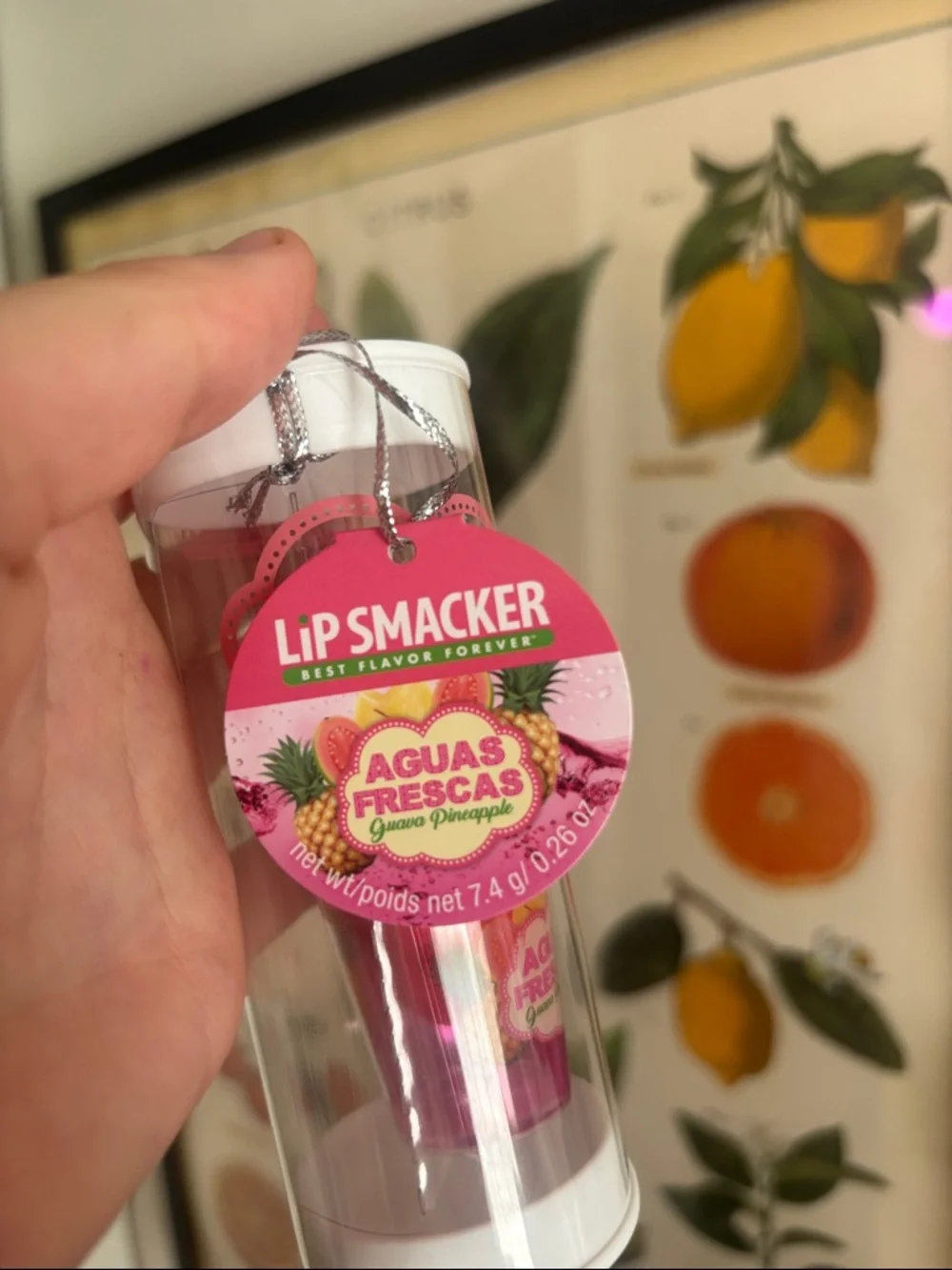 Aguas Frescas Guava Pineapple -Sorbet Hydrating Lip Balm — Pink